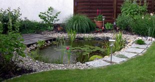 Decorative pond in the garden is like a mirror in your home