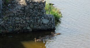 Gabions – What are They, How and Where are They Used?